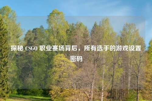 探秘 CSGO 职业赛场背后，所有选手的游戏设置密码