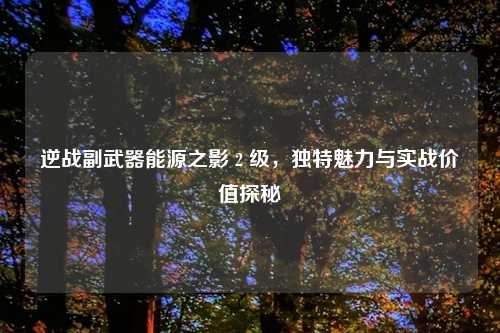 逆战副武器能源之影 2 级，独特魅力与实战价值探秘