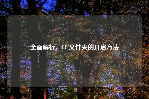 全面解析，CF 文件夹的开启     