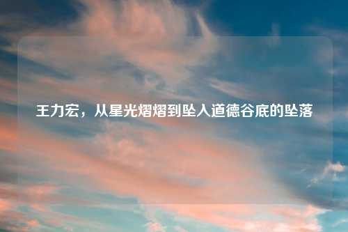 王力宏，从星光熠熠到坠入道德谷底的坠落