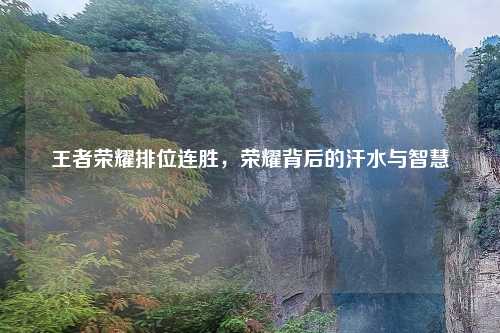 王者荣耀排位连胜，荣耀背后的汗水与智慧