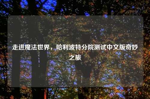 走进魔法世界，哈利波特分院测试中文版奇妙之旅