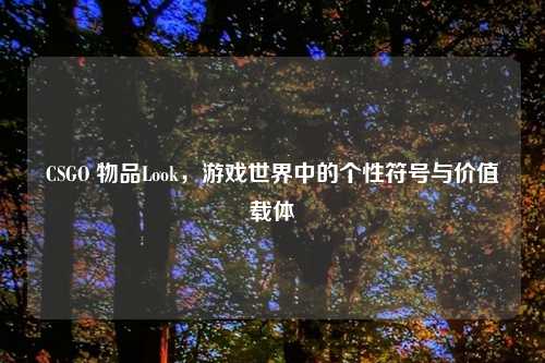 CSGO 物品Look,游戏世界中的个性符号与价值载体