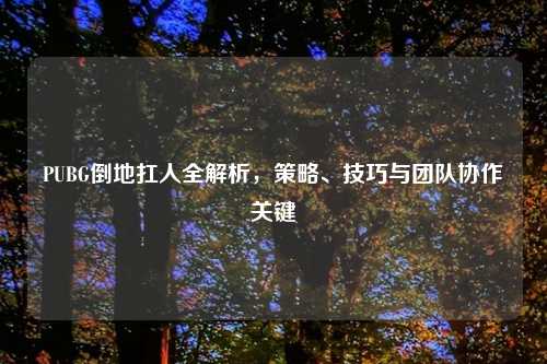PUBG倒地扛人全解析，策略、技巧与团队协作关键
