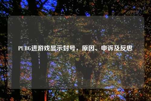 PUBG进游戏显示封号，原因、申诉及反思