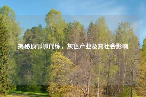 揭秘顶呱呱代练，灰色产业及其社会影响