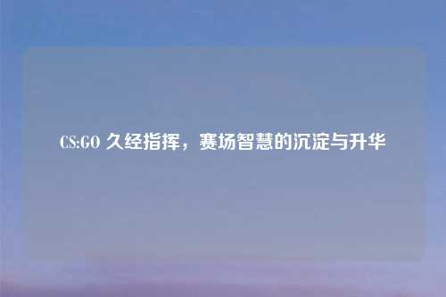CS:GO 久经指挥,赛场智慧的沉淀与升华