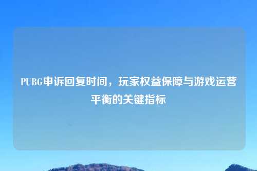 PUBG申诉回复时间，玩家权益保障与游戏运营平衡的关键指标