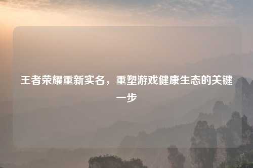 王者荣耀重新实名,重塑游戏健康生态的关键一步