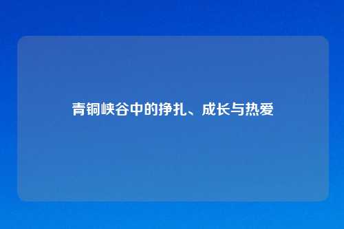 青铜峡谷中的挣扎、成长与热爱