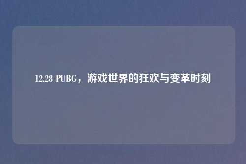 12.28 PUBG，游戏世界的狂欢与变革时刻