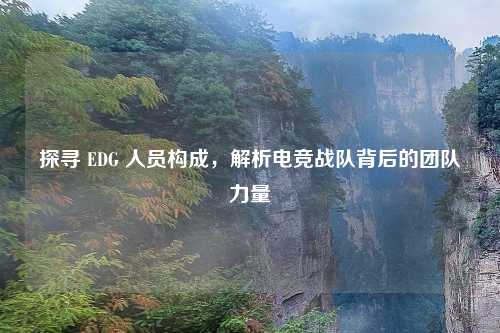 探寻 EDG 人员构成，解析电竞战队背后的团队力量