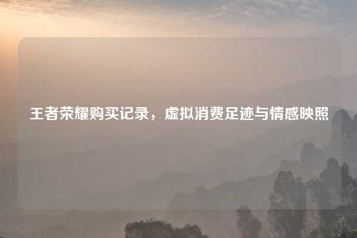 王者荣耀购买记录，虚拟消费足迹与情感映照
