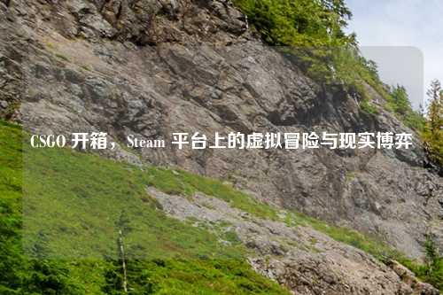 CSGO 开箱,Steam 平台上的虚拟冒险与现实博弈