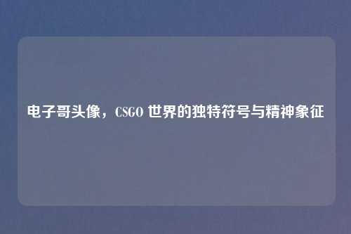 电子哥头像，CSGO 世界的独特符号与精神象征