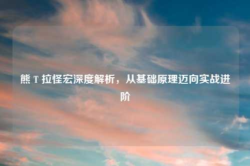 熊 T 拉怪宏深度解析,从基础原理迈向实战进阶