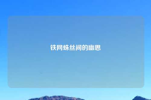 铁网蛛丝间的幽思