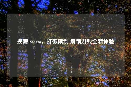换源 Steam，打破限制 解锁游戏全新体验