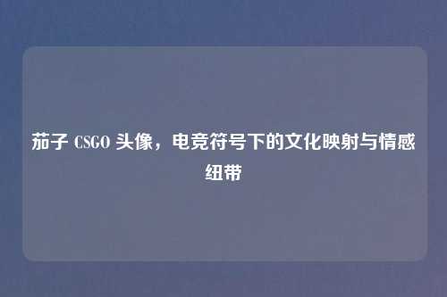 茄子 CSGO 头像，电竞符号下的文化映射与情感纽带