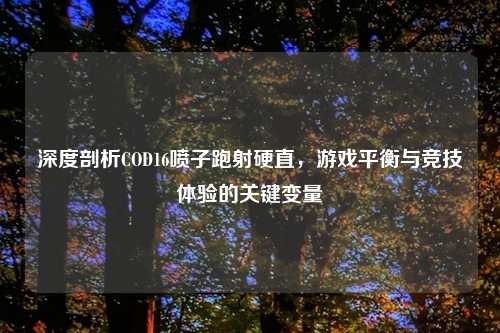 深度剖析COD16喷子跑射硬直,游戏平衡与竞技体验的关键变量