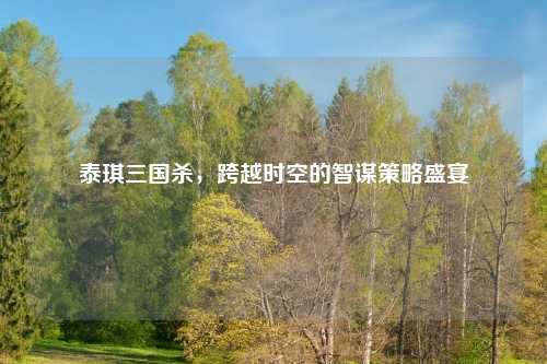 泰琪三国杀，跨越时空的智谋策略盛宴