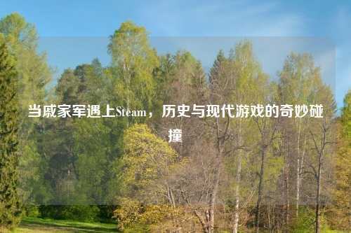 当戚家军遇上Steam，历史与现代游戏的奇妙碰撞