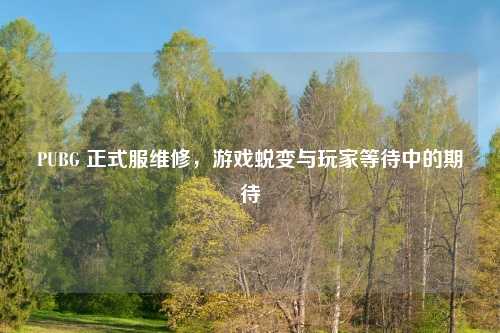PUBG 正式服维修，游戏蜕变与玩家等待中的期待