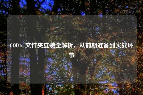 COD16 文件夹安装全解析，从前期准备到实战环节