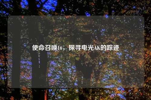 使命召唤16,探寻电光AK的踪迹