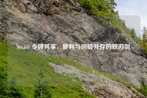 Steam 令牌共享,便利与风险并存的双刃剑