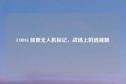 COD16 侦查无人机标记，战场上的透视眼
