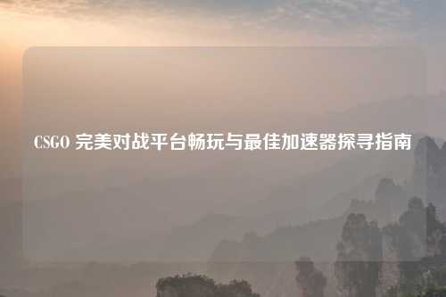 CSGO 完美对战平台畅玩与更佳加速器探寻指南