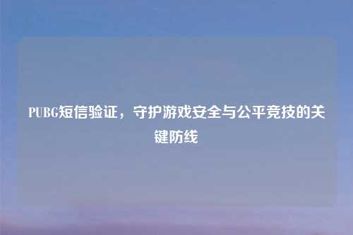 PUBG短信验证,守护游戏安全与公平竞技的关键防线
