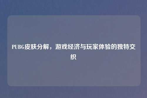 PUBG皮肤分解，游戏经济与玩家体验的独特交织