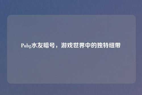 Pubg水友暗号，游戏世界中的独特纽带