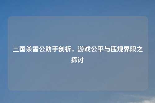 三国杀雷公助手剖析,游戏公平与违规界限之探讨