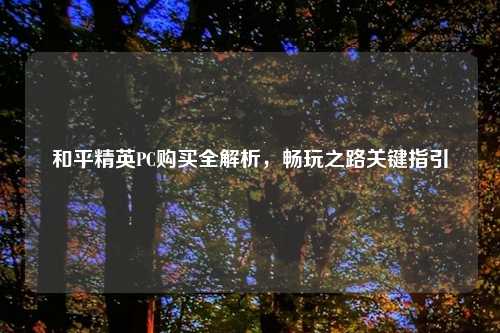 和平精英PC购买全解析，畅玩之路关键指引