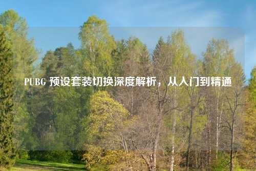 PUBG 预设套装切换深度解析，从入门到精通