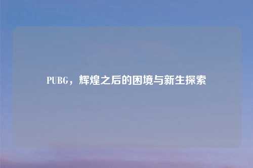 PUBG,辉煌之后的困境与新生探索