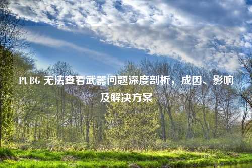 PUBG 无法查看武器问题深度剖析,成因、影响及解决方案