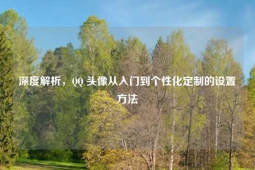 深度解析，      头像从入门到个性化定制的设置     