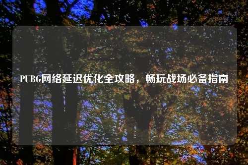 PUBG     延迟优化全攻略，畅玩战场必备指南