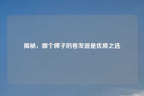 揭秘,哪个牌子的卷发器是优质之选
