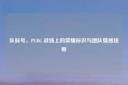 队标号，PUBG 战场上的荣耀标识与团队情感纽带