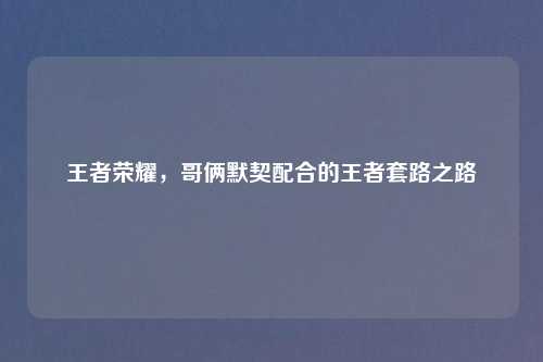 王者荣耀，哥俩默契配合的王者套路之路
