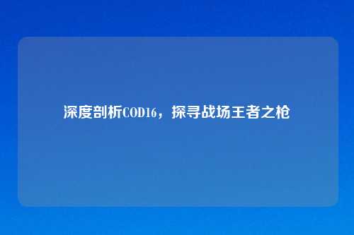 深度剖析COD16，探寻战场王者之枪
