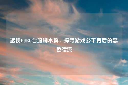 透视PUBG台服脚本群,探寻游戏公平背后的黑色暗流