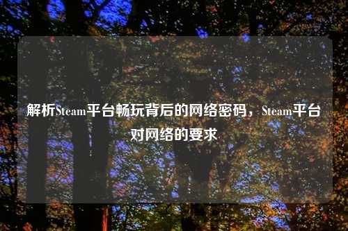 解析Steam平台畅玩背后的     密码，Steam平台对     的要求