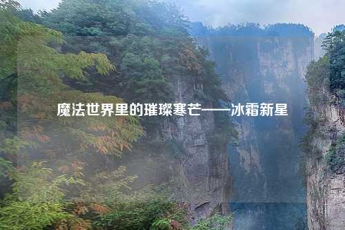 魔法世界里的璀璨寒芒——冰霜新星