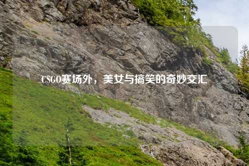 CSGO赛场外，美女与搞笑的奇妙交汇